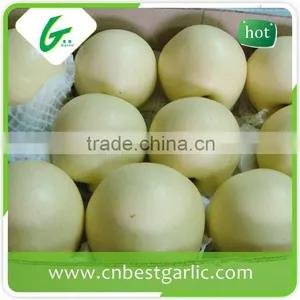9kg 18kg Bulk Fresh Crown Pear thumbnail-4