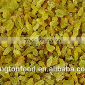 China Wholesale Seedless Dried Raisin thumbnail-2