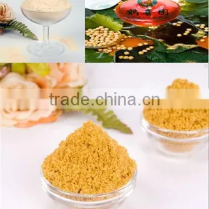 High Quality and Best Price Supplement Bulk Powder thumbnail-1