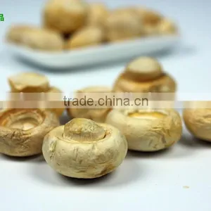Fresh Air Dried Mushroom Flower thumbnail-4