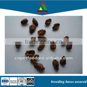 Dry Pet Food Reptile Feeding Silkworm Pupae thumbnail-1