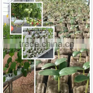 60kg/m3 Hydroponic Grow Rockwool Rock Wool Cubes Wholesale thumbnail-5