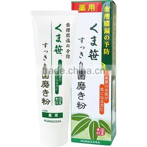 Medicated Sasa Bamboo TOOTHPASTE New 120g Made in Japan thumbnail-1