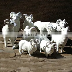 Realistic Taxidermy Replica Life Sized Tiny Sheep Gifts thumbnail-1