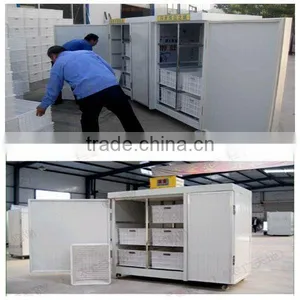 Lowest Price Automatic Bean Sprouter Machine With Best Service thumbnail-2