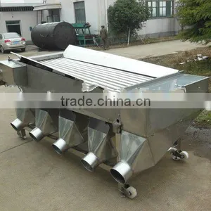 Squid Grading Machine, thumbnail-1