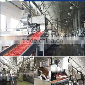 Belt Drying Machine thumbnail-1