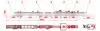 Quality Warranted Good Price Pepper Processing Line thumbnail-4