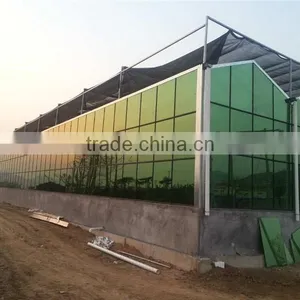 Tropical Multi Span Greenhouse for Agriculture thumbnail-1