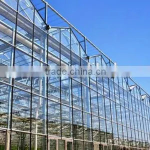 China Greenhouse thumbnail-3