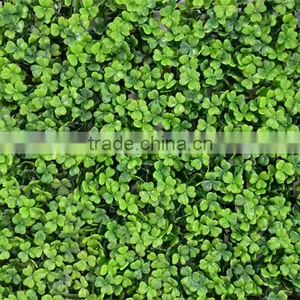 SJ04001006 Cheap Price Fake Grass Fabic/boxwood Grass Mat thumbnail-1