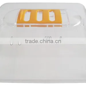 Children's Garden Pot ( Propagation Tray & Lid ) thumbnail-3