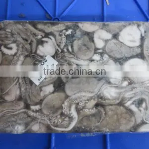 Frozen Octopus Whole thumbnail-3