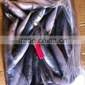Fresh Fish Importers in Singapore Frozen Mackerel thumbnail-1