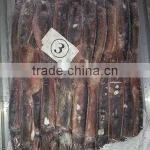 150-200g Frozen Illex Squid thumbnail-2