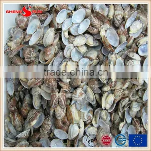 Grade A Standard IQF Baby Clam Meat thumbnail-2