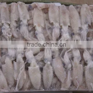 Seafood Squid (baby Squid) thumbnail-1