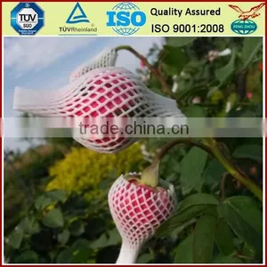 PE Plastic Protection Sleeve Packing Net for Flower Bud thumbnail-3