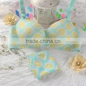 Women Seamless Panties and Bra Hot Anty Factory in China thumbnail-3