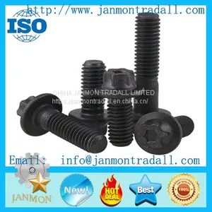 Customize--Supply Stainless Steel Bolt,Carbon Steel Bolt,High Tensile Steel Bolt,Mid-steel Bolt,T Head Bolt,Hex Head Bolt,Round Head Bolt,Square Head Bolt,Special Head Bolt,Zinc Galvanized Bolt,Black Oxide Bolt. thumbnail-1