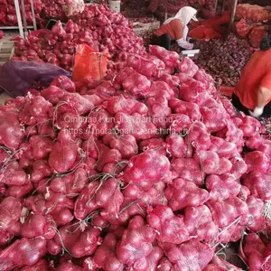 Fresh Onion thumbnail-5