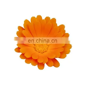 Water Soluble Marigold Extract Powder Raw Material Lutein thumbnail-2
