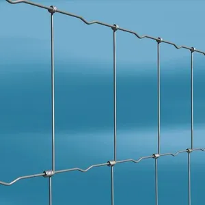 Galvanized Welded Wire Mesh Panels for Garden Fencing and Retaining Walls thumbnail-2