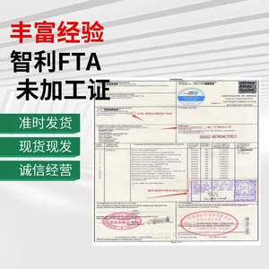 Apply for the Certificate of Unprocessed Vessel Passing Through Hong Kong FORM E, Costa Rica FL, Chile FORM F thumbnail-1