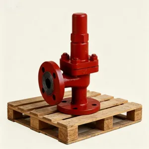 Cast Iron Marine Angle Safety Valve CB304-1977 With Extended Warranty thumbnail-1