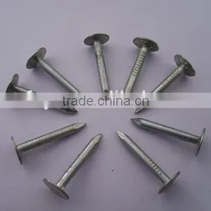 Galvanized Clout Nails Factory thumbnail-6