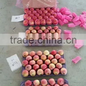 Chinese Qinguan Apple From Shanxi Province thumbnail-6