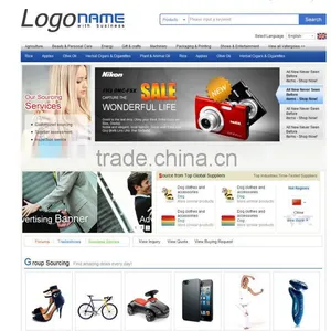 Professional B2B Ads Best Platform Website Design thumbnail-1