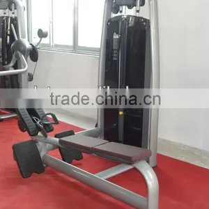 Best Selling Professional Gym Machine / TZ-6021 Low Row/Back Muscle Training thumbnail-2