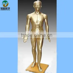 High Quality Human Chinese Acupuncture Bronze Body Model thumbnail-1