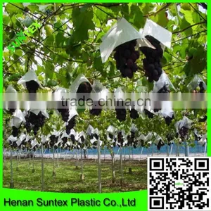 High Quality Plastic Grape Plant Support Net/plants Protection Net thumbnail-1
