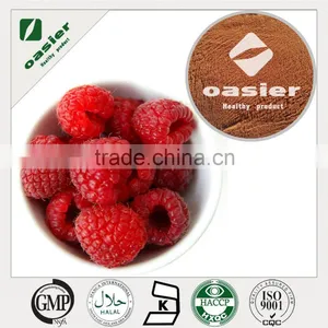 Factory Supply Fresh Raspberry Fruit Powder thumbnail-2