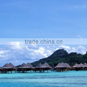Cheapest Dhl International Shipping Rates to AUSTRIA thumbnail-1