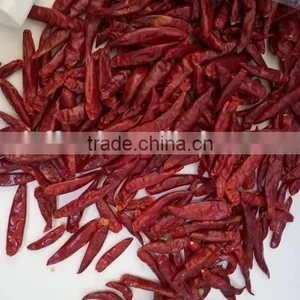 Dry Red Chili With High Quality thumbnail-1