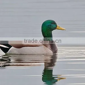 Mallard Drake Greenhead Flocking Kit Duck Hunting Device Plastic Duck Hunting Decoy thumbnail-3