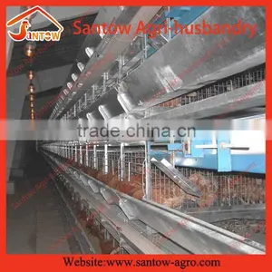 Stable Steel Structure Professional Chicken Egg Layer Cage Chicken Poultry Equipment thumbnail-6