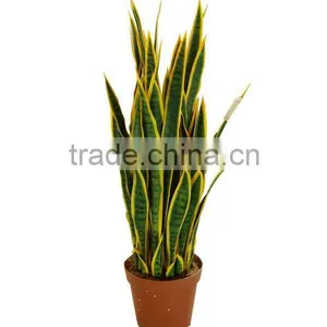 Artificial Cantury Plant thumbnail-1