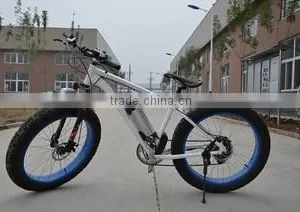 Dezhou Blueasian Imp & Exp Co., Ltd. company overview - view 1 thumbnail