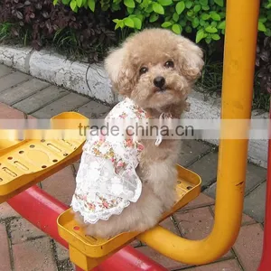 Pet Clothing Dog Clothes Xxx Small Dog Clothes Pet Clothes thumbnail-1