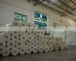 Sunshine Nonwoven Fabric & Clothes Co., Ltd.Quanzhou company overview - view 2 thumbnail