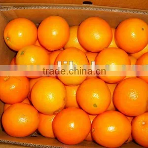 Orange thumbnail-1