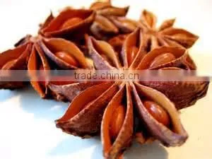 Autumn Star Aniseed thumbnail-1