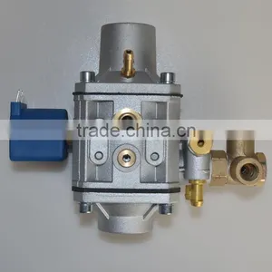 ECE R110 Standard Certified Cng Reducer thumbnail-4