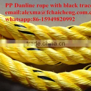 Yellow pp Danline Rope With Black Tracer thumbnail-1