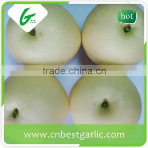 Bulk Fresh Crown Pear From Hebei thumbnail-2