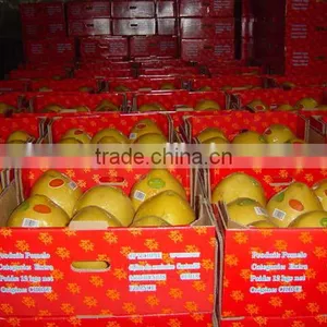 2015 China Original Fresh Honey Yellow Pomelo for Sale thumbnail-4
